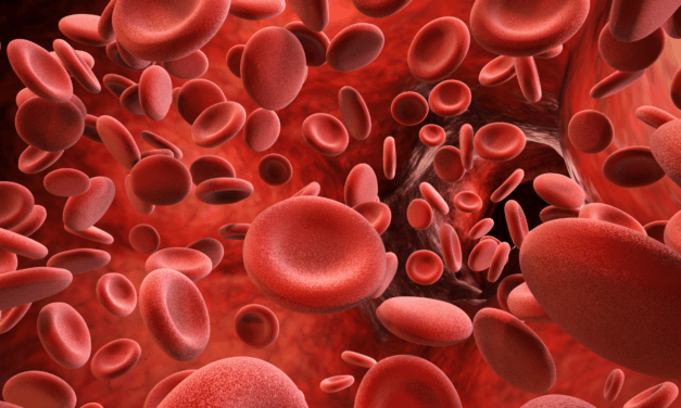 The Infectious Nature of Blood