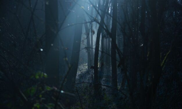 Protecting the Darkness – A Vampyre’s Summer Solstice Ritual