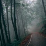 Awakening & Becoming: My Journey to Self Acceptance by Caillete Ashthorn