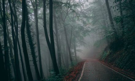 Awakening & Becoming: My Journey to Self Acceptance by Caillete Ashthorn
