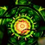 Shielding as a Vampyre – Shielding 101