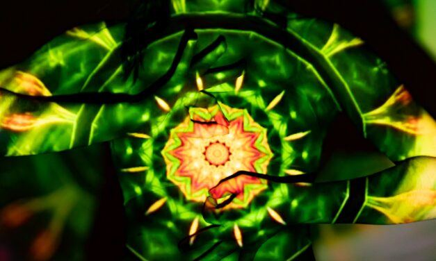 Shielding as a Vampyre – Shielding 101